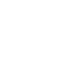 Nissan logo white